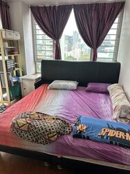 Nova 88 (D12), Apartment #576769671